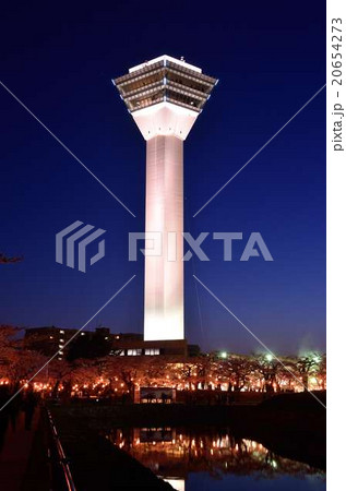 五稜郭タワーと夜桜 20654273