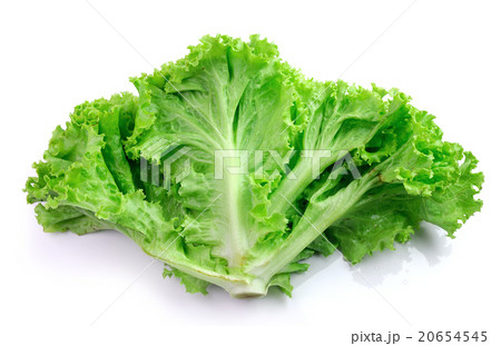 fresh green lettuce leaves isolated on white 20654545