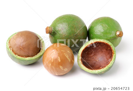 macadamia nuts on white background 20654723
