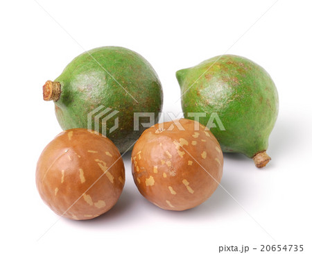 macadamia nuts on white background 20654735