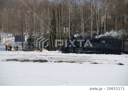 SL冬の湿原号 20655271