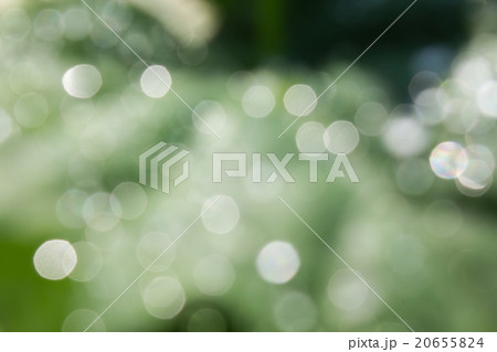 Blurred nature and bokeh dew drop background 20655824