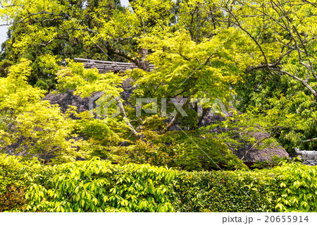 落柿舎 落柿舎 20655914