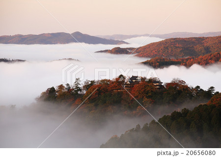 天空の城　備中松山城290 20656080