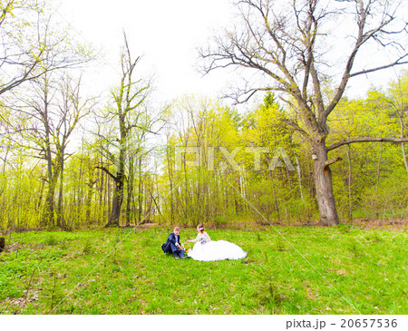 Bride and groom on a picnic 20657536