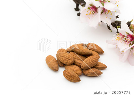 アーモンドとアーモンドの花: Almond and almond flower 20657772