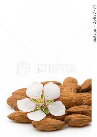 アーモンドとアーモンドの花: Almond and almond flower 20657777