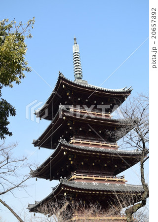 寛永寺　五重塔 20657892