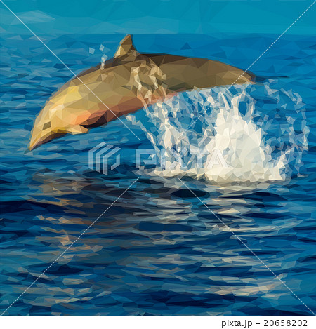 Vector Dolphin Jumping Vector Dolphin Jumping 20658202