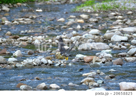 ハヤブサ2 20658825