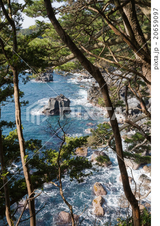 城ヶ崎海岸 城ヶ崎海岸 20659097