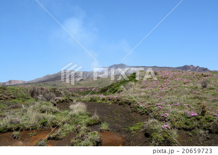 阿蘇山とツツジ 阿蘇山とツツジ 20659723