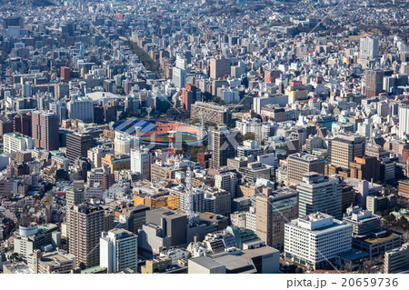 ボールパークへと進化する横浜スタジアム 20659736