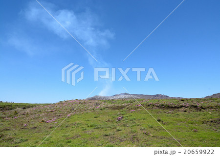 阿蘇山とツツジ 阿蘇山とツツジ 20659922