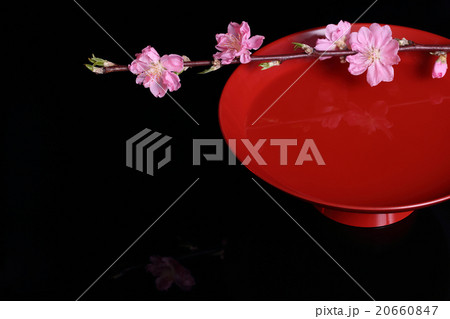 桃の花と日本酒 20660847