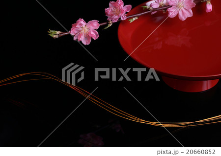 桃の花と日本酒 20660852