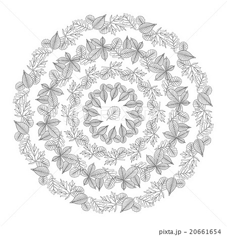 circular pattern autumn leaves black and white 20661654