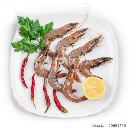 Raw tiger shrimps on plate. Raw tiger shrimps on plate. 20661736