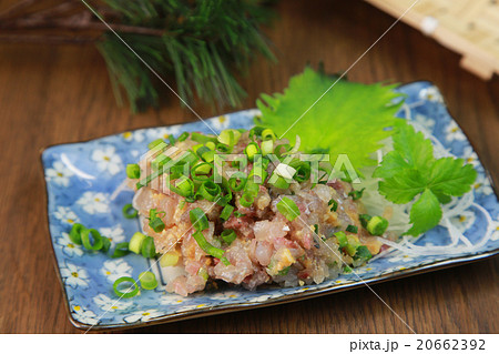 なめろう 20662392