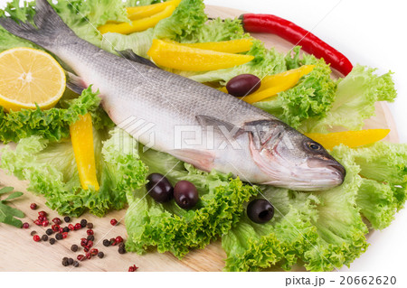 Composition of fresh seabass 20662620
