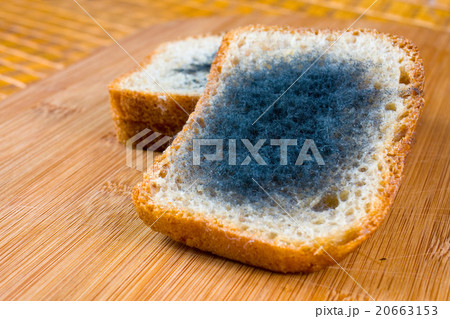 Moldy bread. 20663153