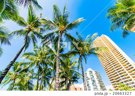 【ハワイ】ワイキキ・カラカウア通り 【ハワイ】ワイキキ・カラカウア通り 20663327