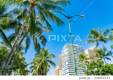 【ハワイ】ワイキキ・カラカウア通り 20663333