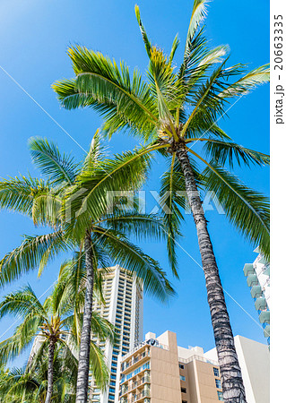 【ハワイ】ワイキキ・カラカウア通り 【ハワイ】ワイキキ・カラカウア通り 20663335