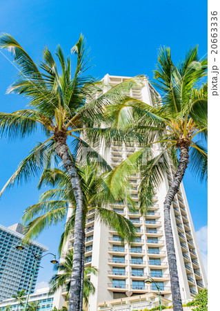 【ハワイ】ワイキキ・カラカウア通り 20663336