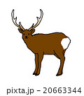 鹿　シカ　エゾシカ　北海道 20663344