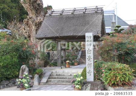 白毫寺 20663535