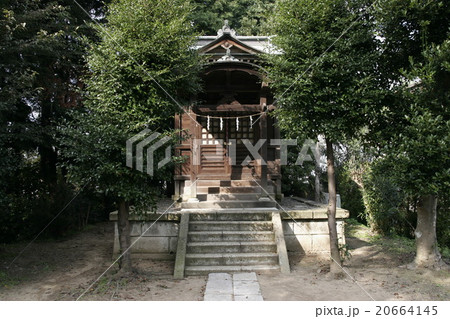 金比羅宮 20664145