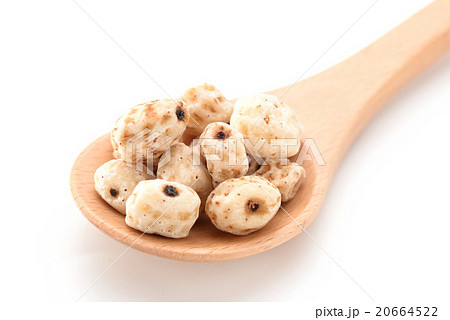 タイガーナッツ 20664522