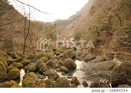 袋田の滝の写真 20664554