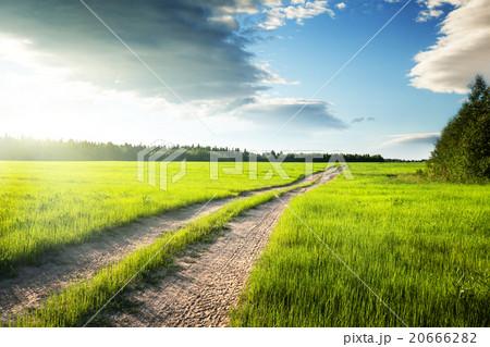 ground road and field of spring grass ground road and field of spring grass 20666282