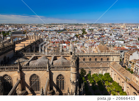 Cathedral La Giralda at Sevilla Spain 20666415