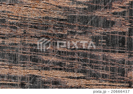 Wood background Wood background 20666437