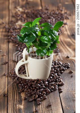 Coffee in a lens mug. Shallow dof 20667462