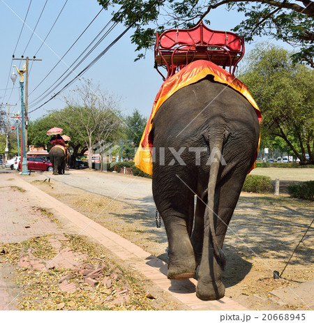 Tourists on an ride elephant tour in Ayutthaya, Tourists on an ride elephant tour in Ayutthaya, 20668945
