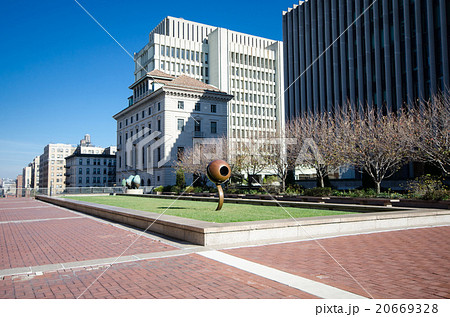 コロンビア大学 20669328