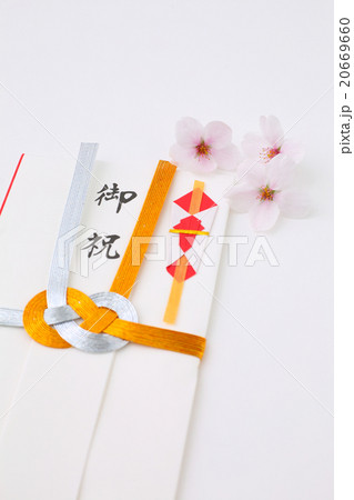 桜　春　御祝い 20669660