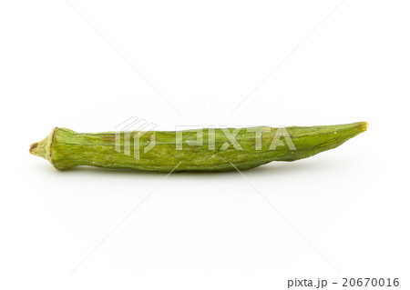 干しオクラ: Dried Okra 干しオクラ: Dried Okra 20670016