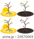 Nature tree symbol illustration 20670069