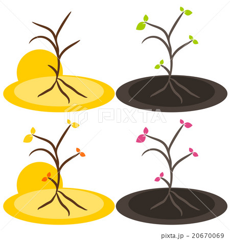 Nature tree symbol illustration 20670069