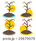Nature tree symbol illustration 20670070