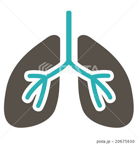 Lungs Flat Icon Lungs Flat Icon 20675630