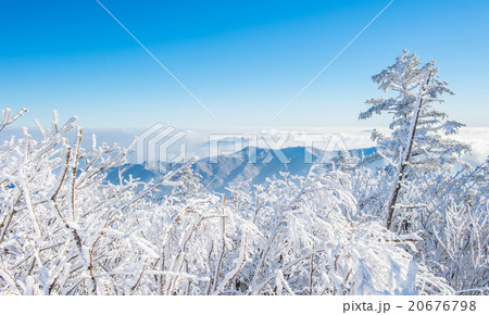 Deogyusan in winter,korea 20676798