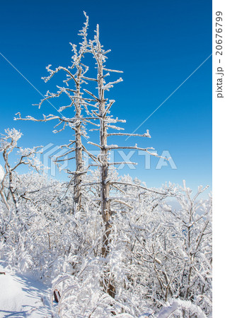 Deogyusan in winter,korea 20676799