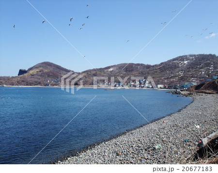 塩谷の浜辺 塩谷の浜辺 20677183