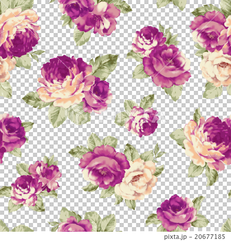 洛可可風格玫瑰圖案 20677185